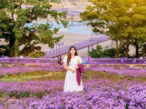 Tour Hàn Quốc 6N5Đ: Shinan | Jeonju | Busan | Sucheon | Yeosu 