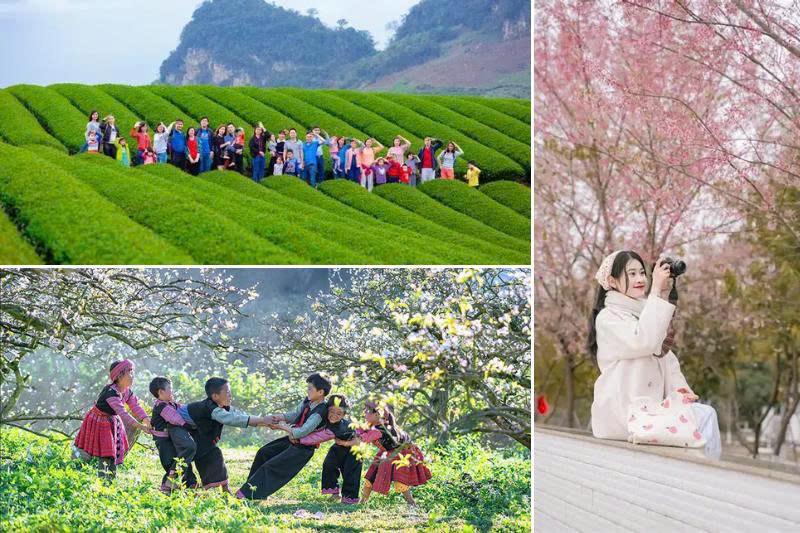 Du xuân Mộc Châu (Ảnh: Sưu tầm)