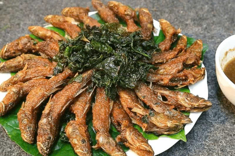 Cá suối Bình Liêu (Ảnh: Sưu tầm)