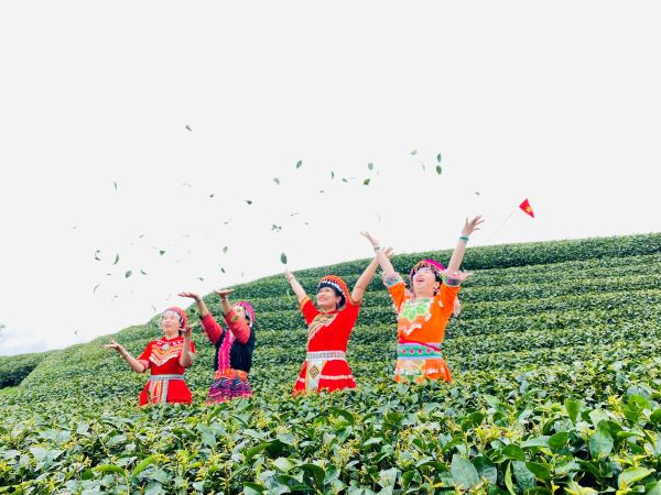 Tour Hà Nội | Mộc Châu | Rừng Thông Bản Áng | Thung Lũng Mận Nà Ka | Đồi Chè Trái Tim