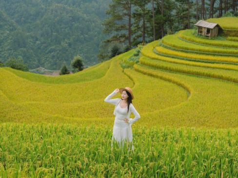 Hà Nội | Mù Cang Chải Mùa Lúa 2N1Đ